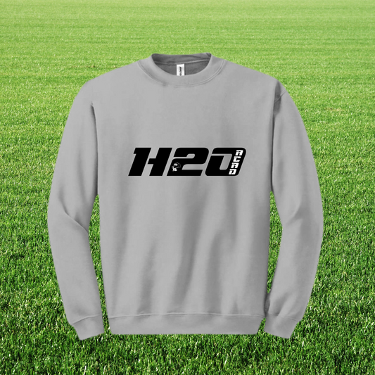 Sweat homme GT visuel 2