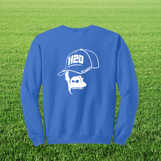 Sweat homme visuel 1