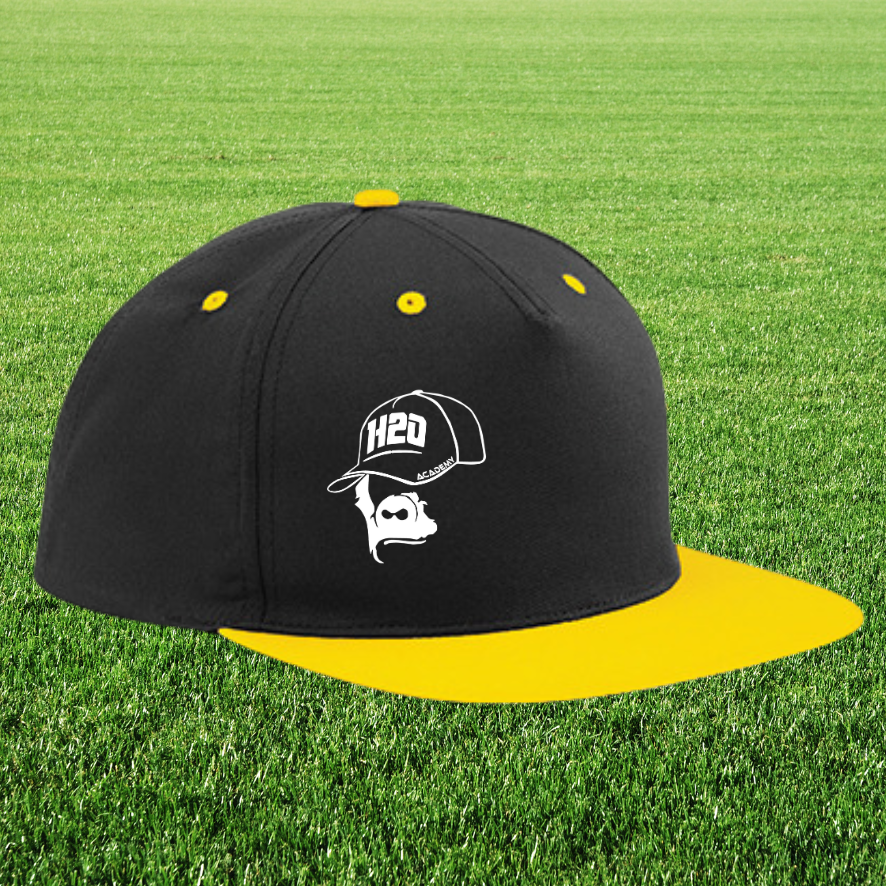 Casquette "snapback" visière plate bicolor visuel 1