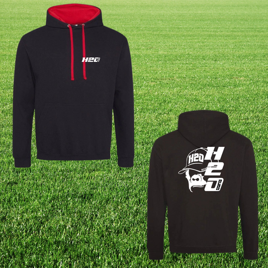 Hoodie bicolore homme GT visuel 2-3