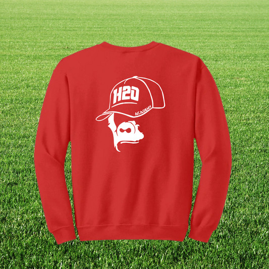 Sweat homme GT visuel 1