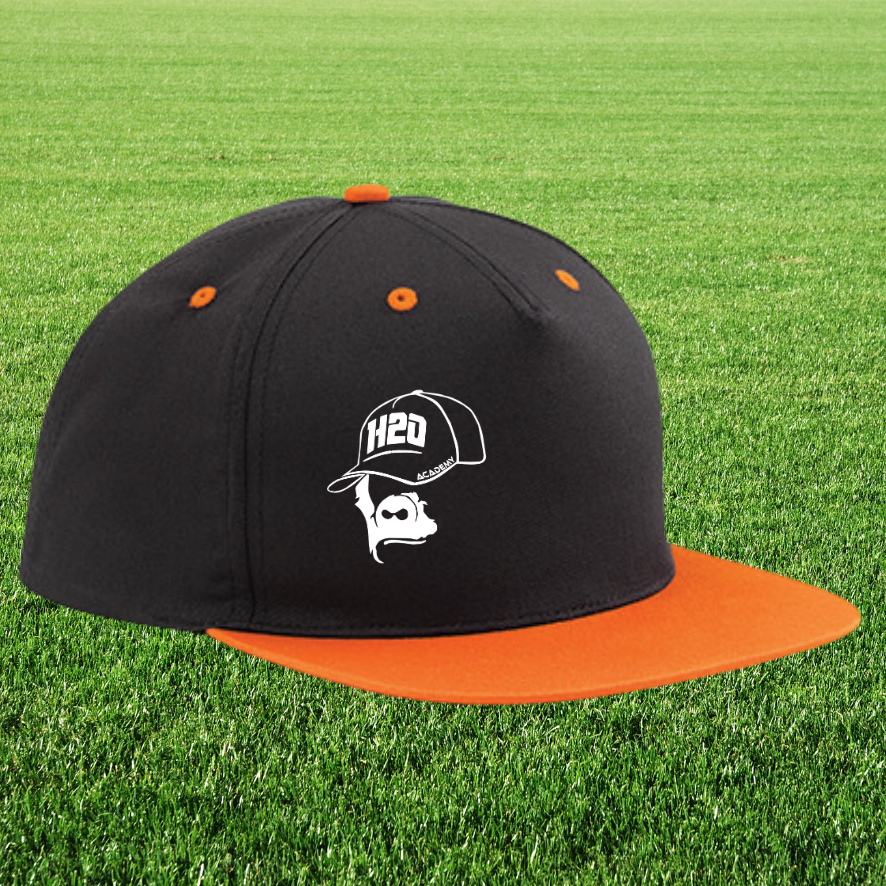 Casquette "snapback" visière plate bicolor visuel 1