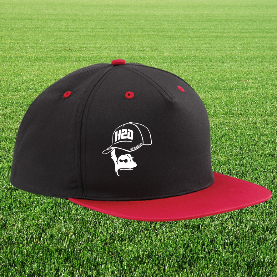 Casquette "snapback" visière plate bicolor visuel 1