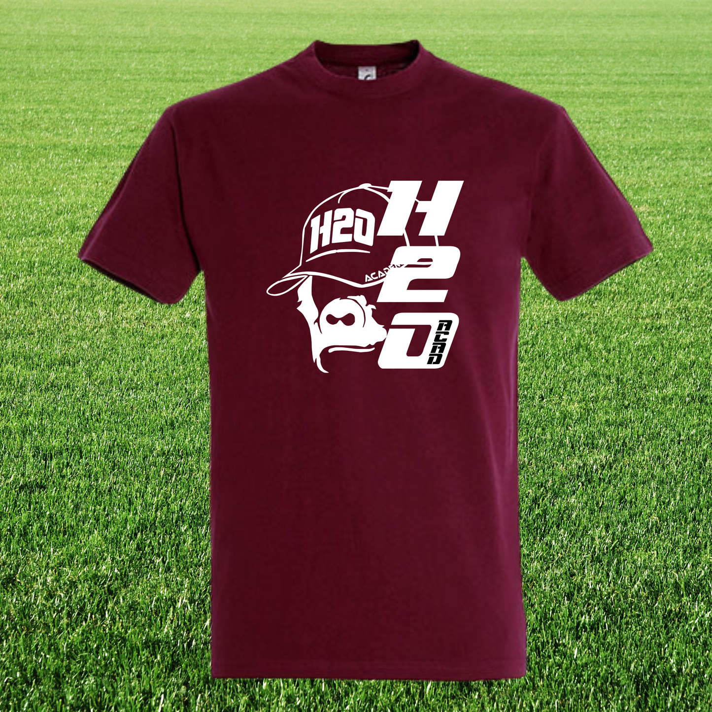 T-Shirt manches courtes homme visuel 3