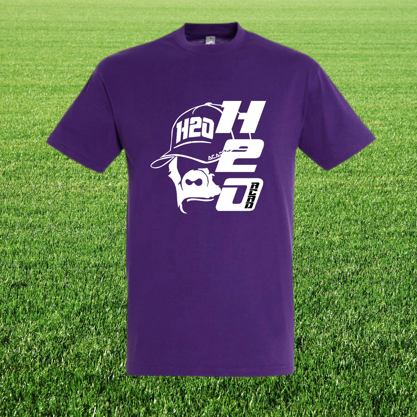 T-Shirt manches courtes homme visuel 3