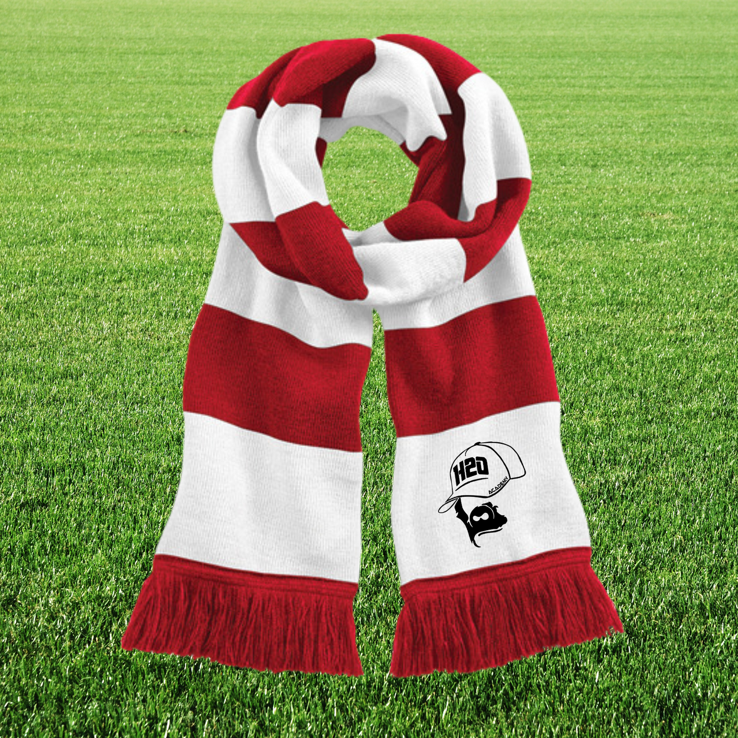 Echarpe - Visuel brodé 1